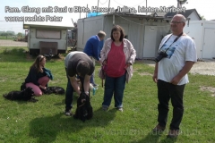 cockertreffen2019-01