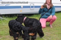 cockertreffen2019-03