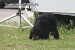 cockertreffen2019-12