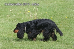 cockertreffen2019-28