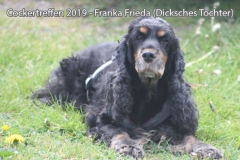 cockertreffen2019-29