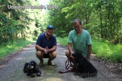 hamelnwald