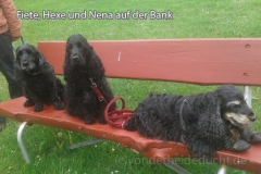 nenahexefiete230519-2