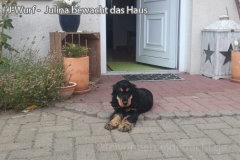 jwurf-165