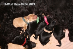 011