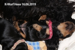023