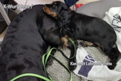 181