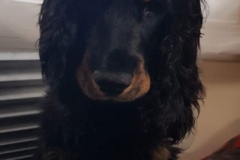 kalle4