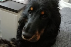 kalle5
