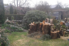holz3