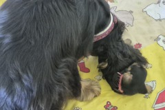 nele2_2