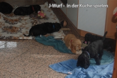 jwurf-130