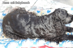 hexemitbabybauch1