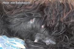 hexemitbabybauch3