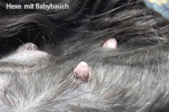 hexemitbabybauch4