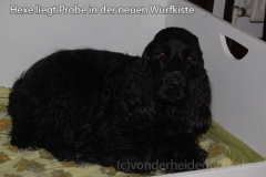 hexewurfkiste2