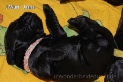 Jasna
