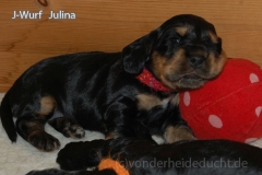 Julina