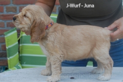 jwurf-100